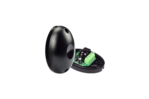 S 379 PC